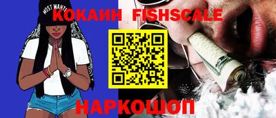 гашик Камышлов
