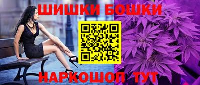 гашик Камышлов