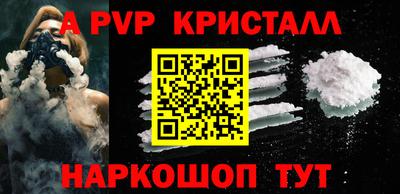 гашик Камышлов