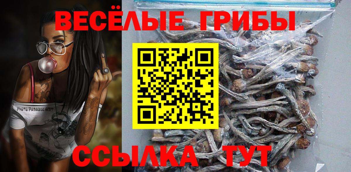 Псилоцибиновые грибы ЛСД  Псилоцибиновые грибы MAGIC MUSHROOMS  Кувандык  Вход с VPN 